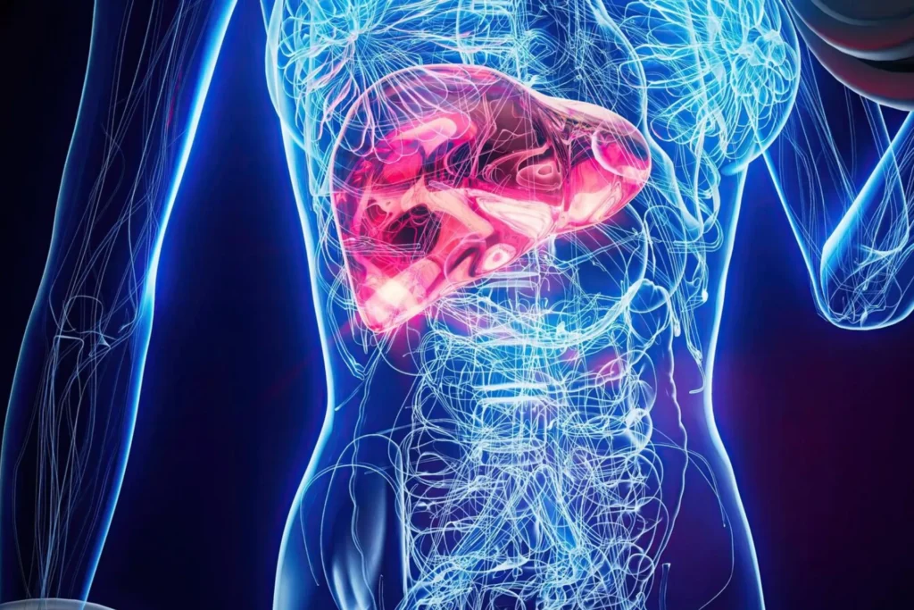 About Liver Transplantation