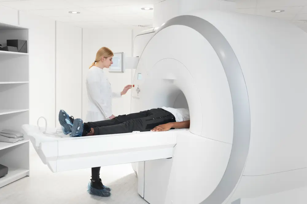 MRI domácích mazlíčků